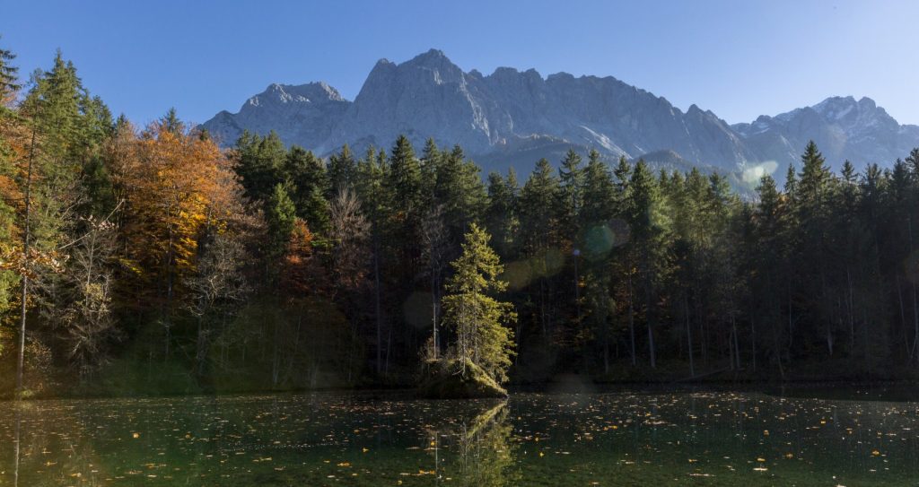 Ferienwohnung Appartement im Ferienhaus Badersee